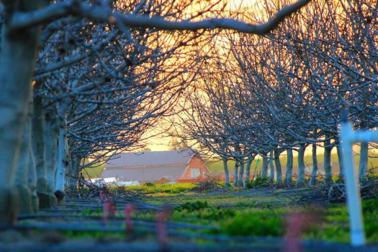 Molestiae sint sed quia